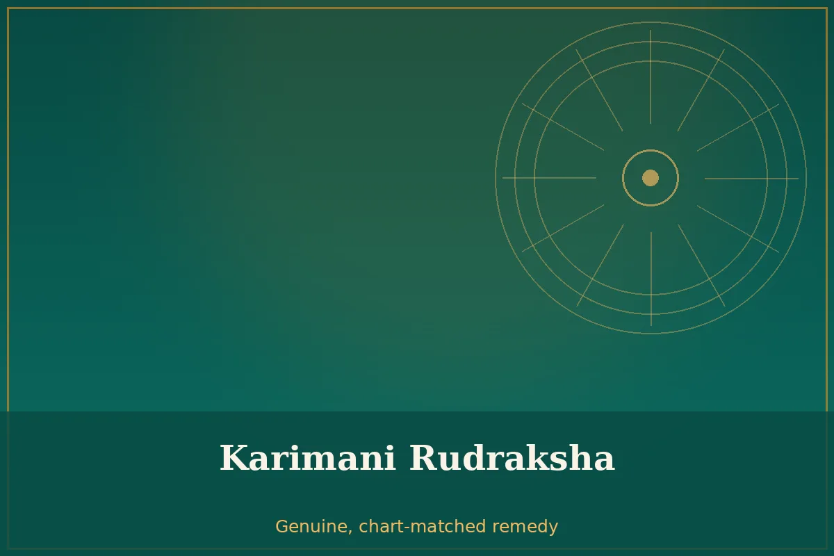 Karimani Rudraksha