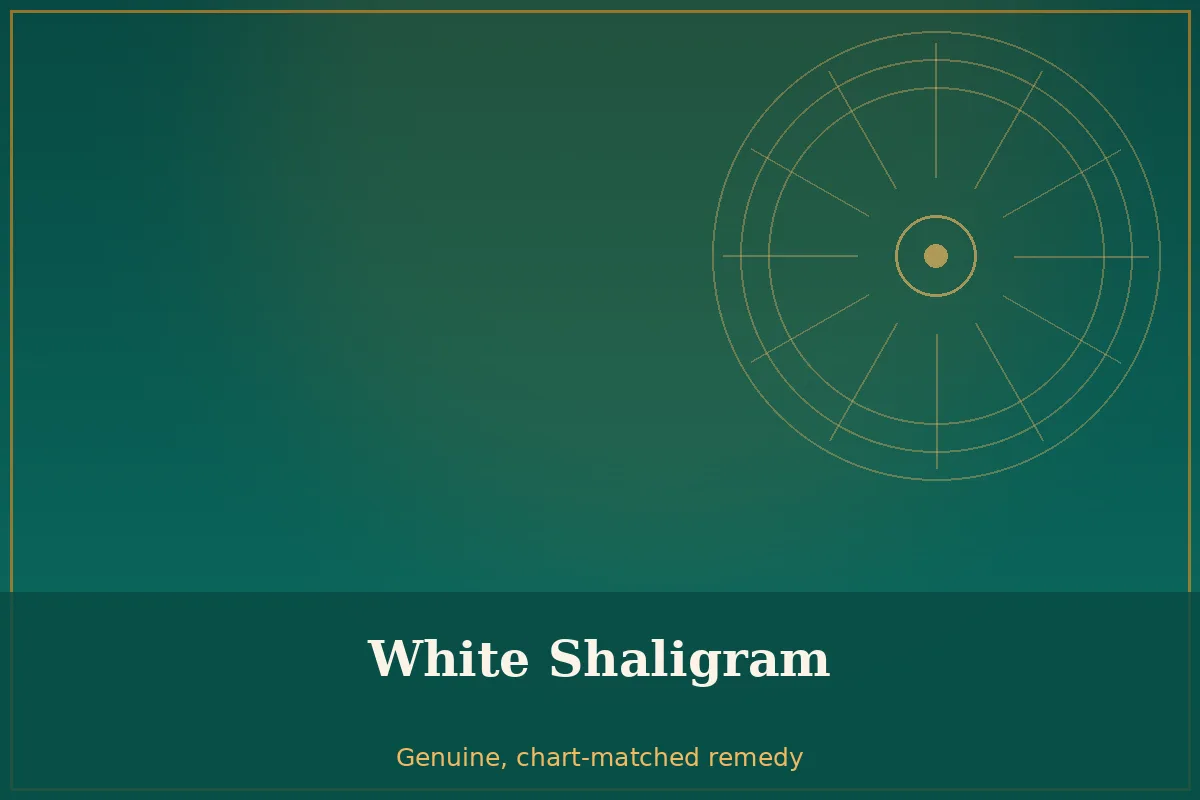 White Shaligram