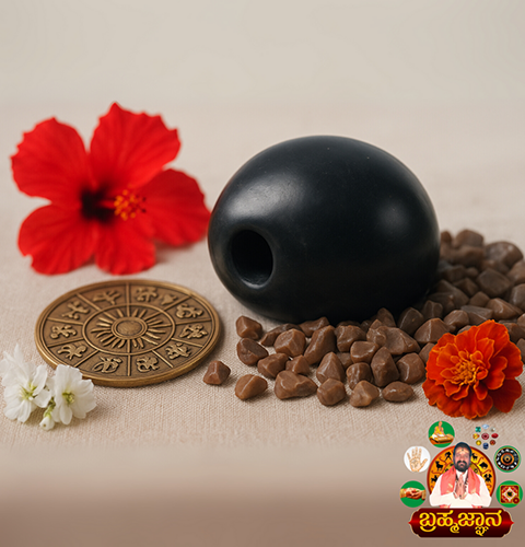 Vishnu Shaligram