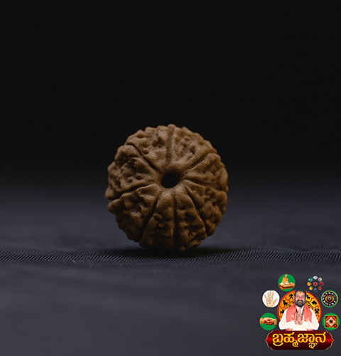 Rudraksha Beads